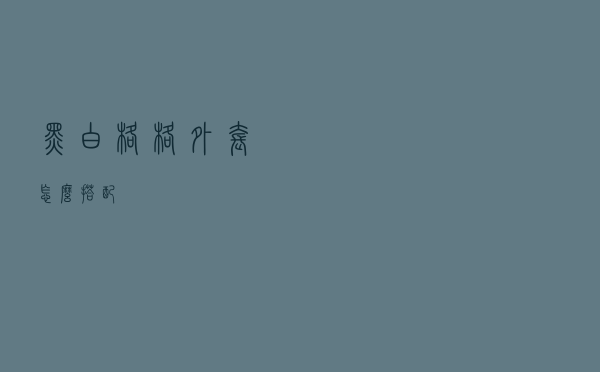 黑白格格外套怎么搭配