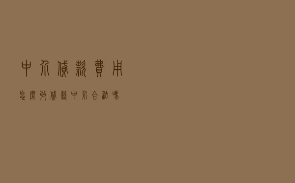 中介贷款费用怎么收（贷款中介合法吗）