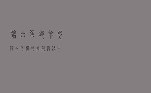 浓白色的羊肉汤（羊肉汤的功效与作用）