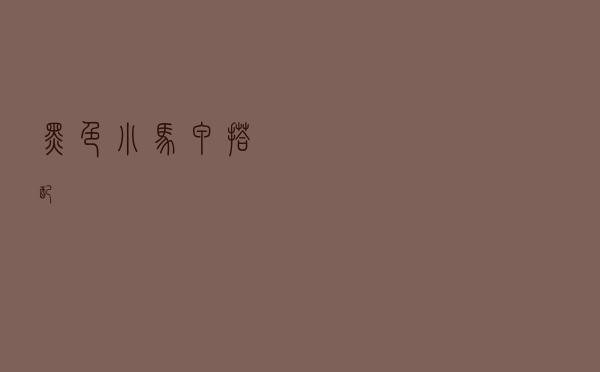 黑色小马甲搭配