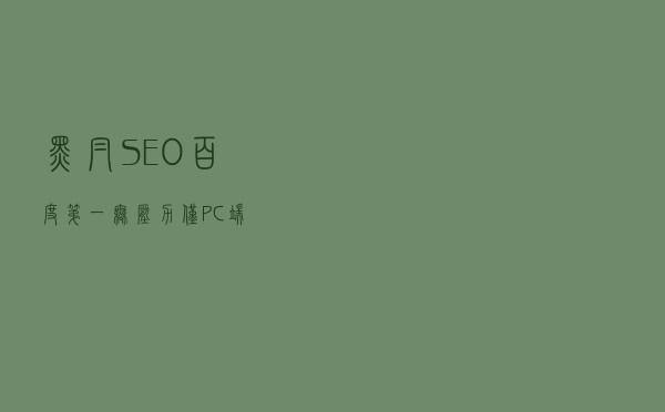 黑帽SEO百度第一无压力「仅PC端」