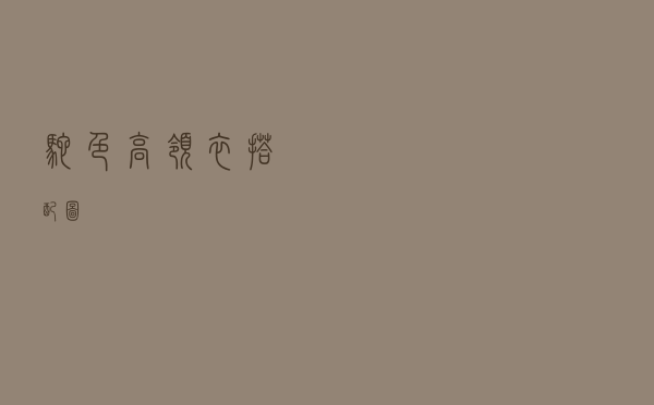 驼色高领衣搭配图