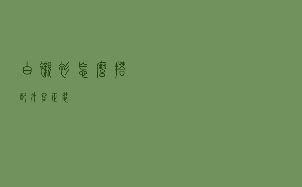 白衬衫怎么搭配外套正装