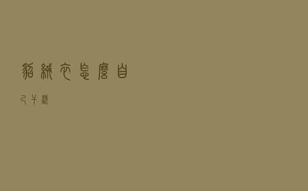 貂绒衣怎么自己干洗