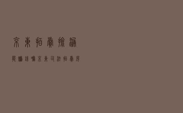 京东拍卖捡漏能赚钱嘛_京东司法拍卖房产