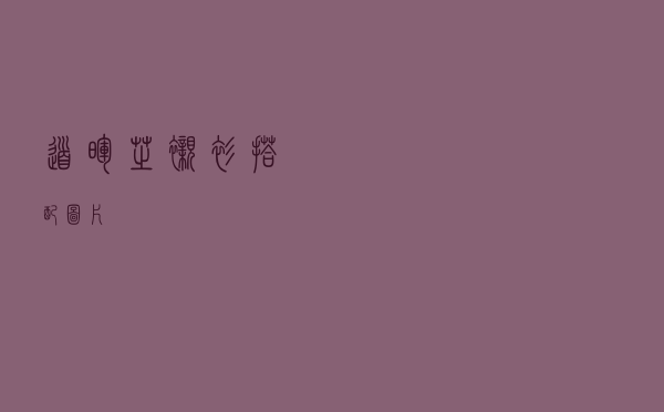 道晖芝衬衫搭配图片