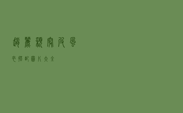 赵丽颖穿皮风衣搭配图片大全