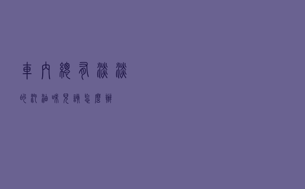 车内总有淡淡的汽油味儿，该怎么办？
