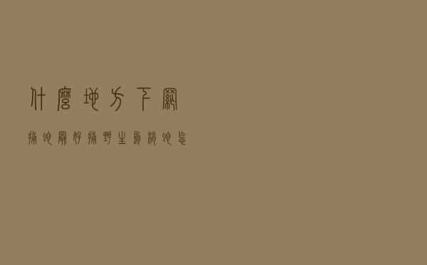 什么地方下网捕蛇最好，捕野生乌梢蛇怎样寻找