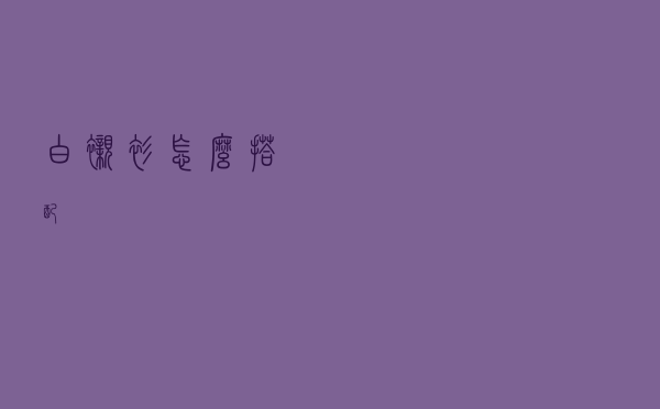 白衬衫怎么搭配