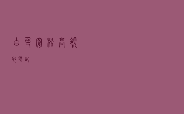 白色宽松高领衣搭配