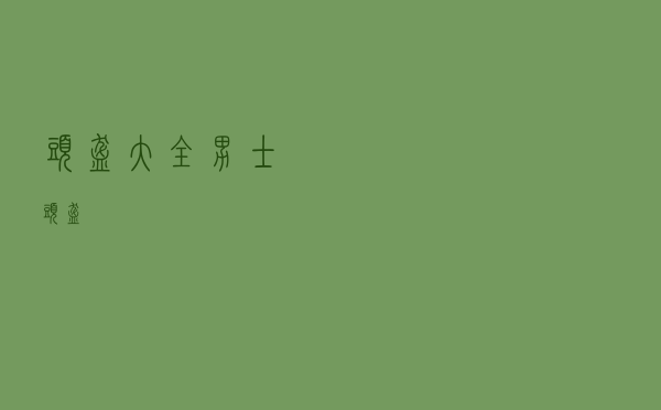 头盔大全_男士头盔 头盔大全_男士头盔