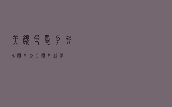 黄颜色裙子好看图片大全图片欣赏