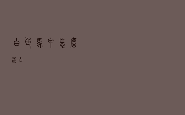 白色马甲怎么洗白