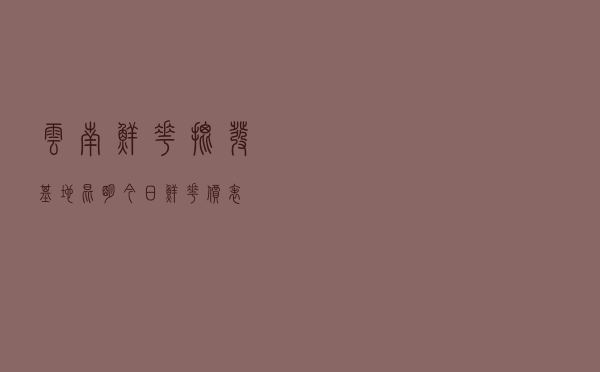 云南鲜花批发基地 「昆明今日鲜花价表」