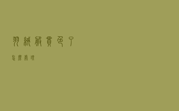 羽绒服串色了怎么处理