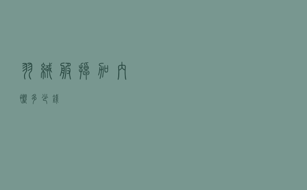 羽绒服掉加内衬多少钱