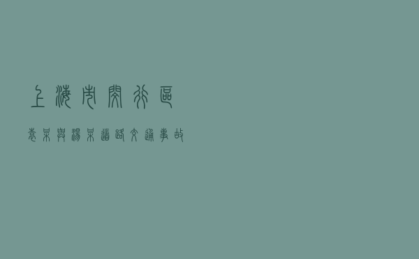 上海市闵行区袁某与汤某道路交通事故纠纷调解案