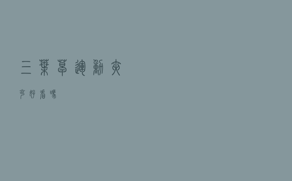 三叶草运动夹克好看吗