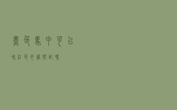 黑色马甲可以和红色衣服搭配吗