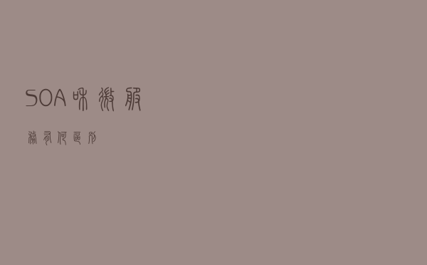 SOA 和微服务有何区别？
