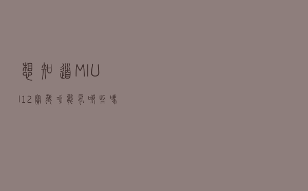 想知道MIUI12宝藏功能有哪些吗？