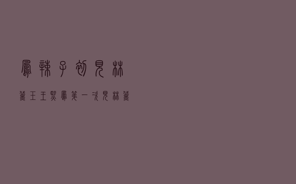 凤辣子初见林黛玉「王熙凤第一次见林黛玉」