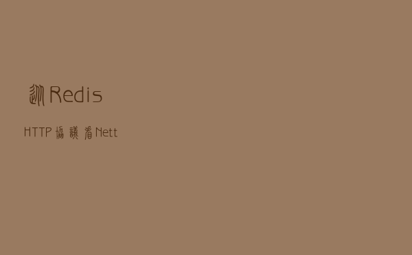 从Redis、HTTP协议，看Nett协议设计，我发现了个惊天大秘密