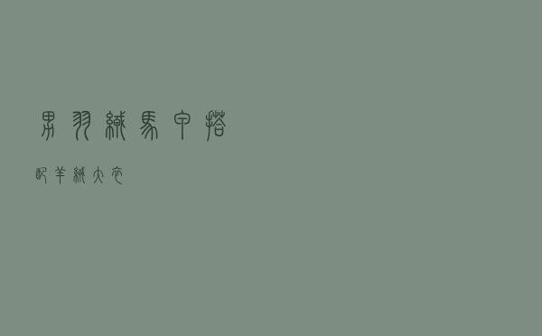 男羽绒马甲搭配羊绒大衣