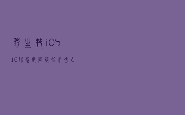 野生技：iOS 16 保资料降级指南，含白苹果与变砖抢救教程