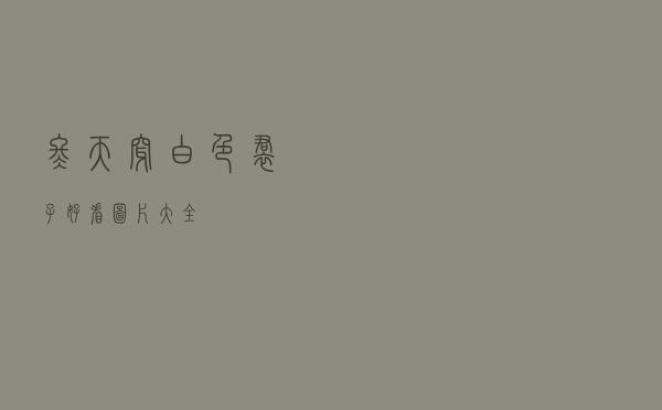 冬天穿白色裙子好看图片大全