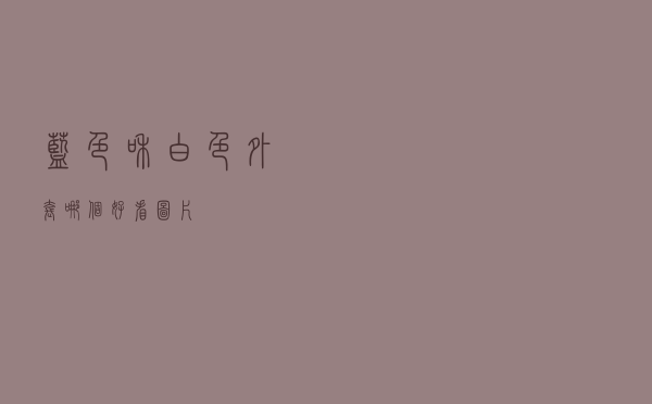 蓝色和白色外套哪个好看图片