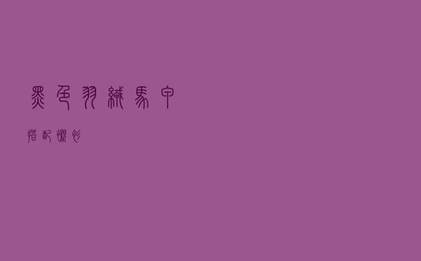 黑色羽绒马甲搭配衬衫