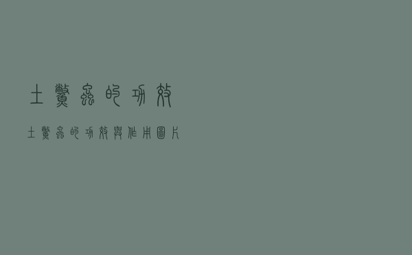 土鳖虫的功效（土鳖虫的功效与作用图片）