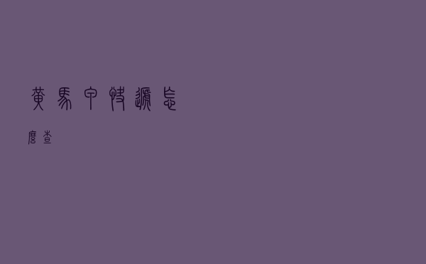 黄马甲快递怎么查