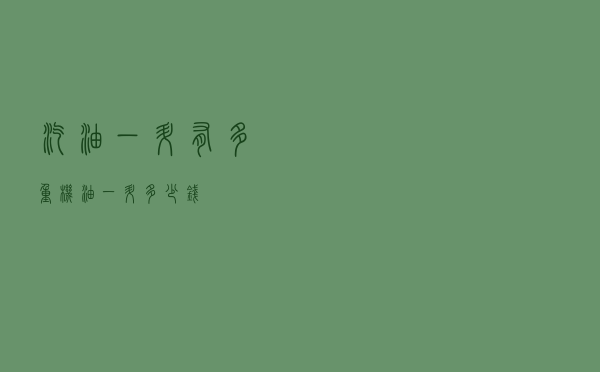 汽油一升有多重（机油一升多少钱）