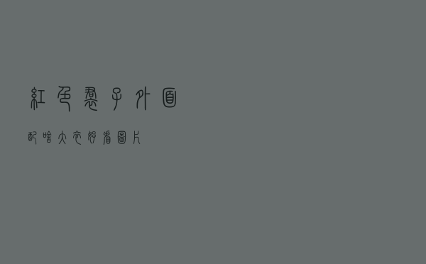 红色裙子外面配啥大衣好看图片