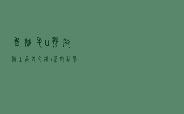 老挑毛u盘启动工具（老毛桃u盘启动盘制作工具）