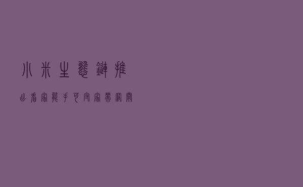 小米生态链推出看家能手，可守家带网关，支持苹果认证，价格真香