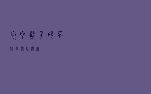 衣和袜子的英语单词怎么写