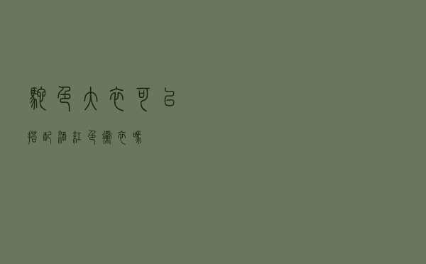 驼色大衣可以搭配酒红色卫衣吗