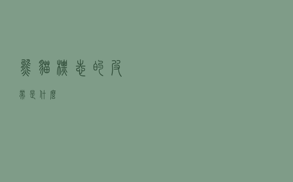 熊猫标志的皮带是什么