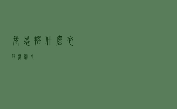 长裙搭什么衣好看图片