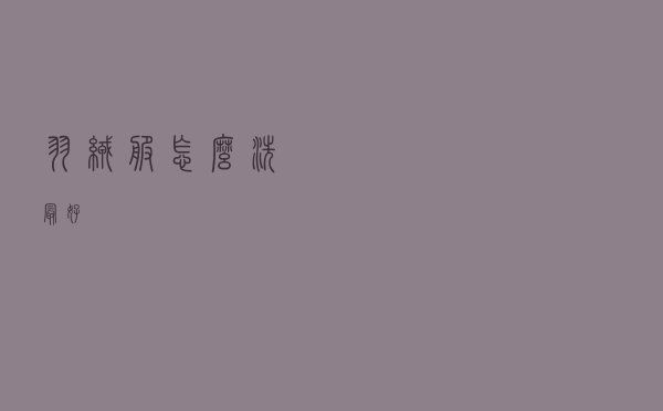 羽绒服怎么洗最好