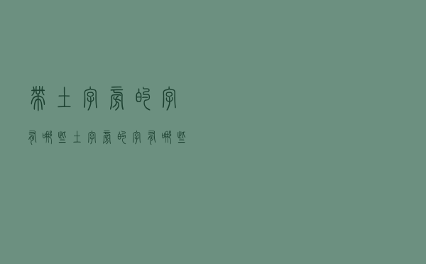 带土字旁的字有哪些「土字旁的字有哪些字旁的字」
