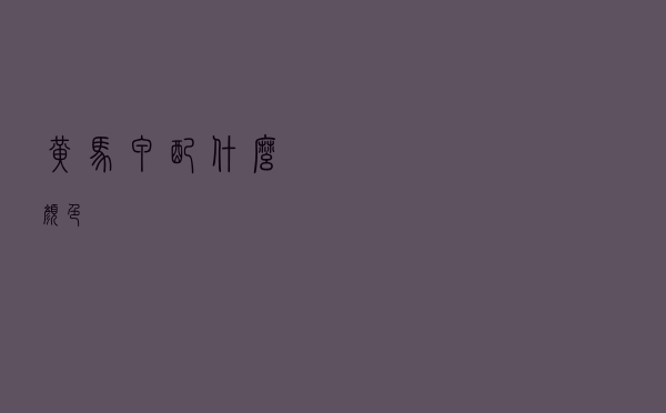 黄马甲配什么颜色