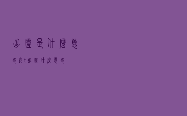 出柜是什么意思「女t出柜什么意思」
