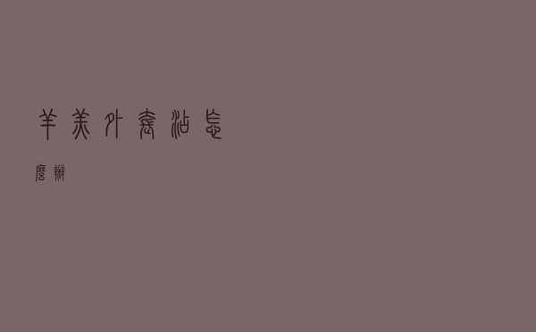 羊羔外套沾怎么办