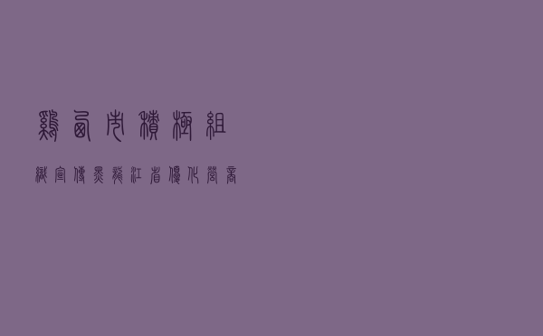 鸡西市积极组织宣传《黑龙江省优化营商环境条例》