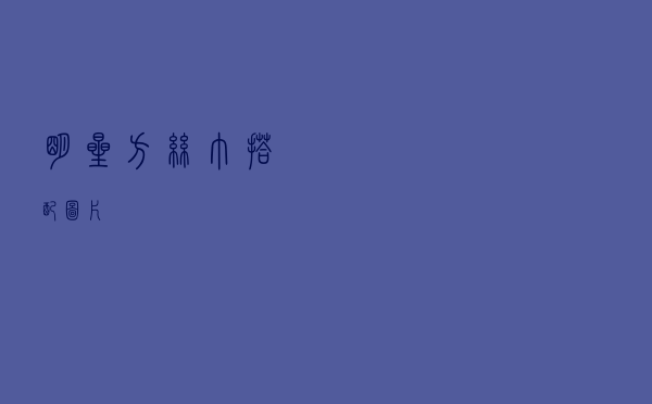 明星方丝巾搭配图片